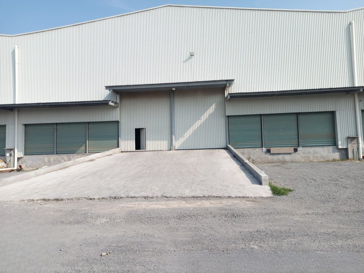 Modern industrial warehouse building with metal corrugated roof, concrete driveway, and large windows
